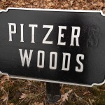 Something has been deleted here.